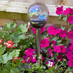 Smart Solar LED Firefly Opal Stake Light 4-Pack White Nickel -Home Lighting Store 1013019 Firefly Opal Stake Light Day insitu 70506.1657117951