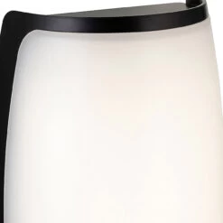 Firstlight Apollo Modern Style LED Bulkhead 12W Warm White In Black And Opal -Home Lighting Store 3844BK 3615 1920x1440 copy 12382.1578928268 00163.1698832069