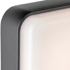 Firstlight Hero Modern Style LED Bulkhead 8W PIR Sensor Warm White In Graphite And Opal -Home Lighting Store 3855GP 3 38269.1578928268 80801.1698832029