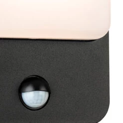 Firstlight Hero Modern Style LED Bulkhead 8W PIR Sensor Warm White In Graphite And Opal -Home Lighting Store 3855GP copy 01873.1578928268 16623.1698832029