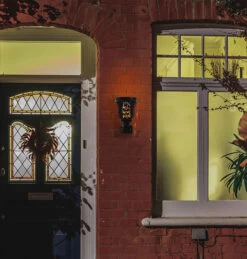 Lyyt 2 In 1 LED Solar Dancing Flame Light