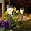 SuperBright Solar Powered LED Stake Light CYGNUS 4-Pack Warm White Metallic Dark Grey