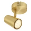 Inlight Harvey Adjustable Ceiling Spotlight Satin Brass -Home Lighting Store INL 31775 SBRS 77933.1657636290