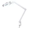 Inlight Buda LED Task Lamp 8W Daylight White -Home Lighting Store INL 34557 11 65752.1657635225