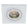 Inlight Pasto Adjustable Downlight White -Home Lighting Store INL 38617 WHT 1 05535.1657635536