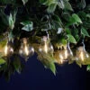 Festive LED Filament Connectable Outdoor Festoon Light Warm White Clear -Home Lighting Store P043934 57049.1686317892