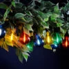 Festive LED Filament Connectable Outdoor Festoon Light Multi-Coloured Clear -Home Lighting Store P043935 92010.1686317882