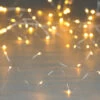 Festive 10m Multifunction Battery Fairy Lights 100 Warm White LEDs -Home Lighting Store P044671 54177.1695049424