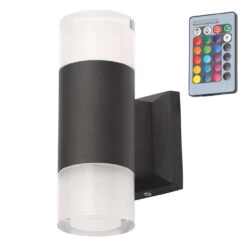 Zink ASHBY 5W Colour Changing LED Outdoor Downlight With Remote Black