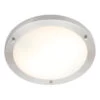 Spa 310mm Delphi Flush Ceiling Light Opal Glass And Satin Nickel -Home Lighting Store SPA 34050 SNIC 2 46556.1656412042