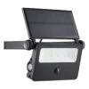 Zink SOLAR LED Sensor Security Light 2W Daylight Black -Home Lighting Store ZN 37052 BLK 01 55553.1667313529