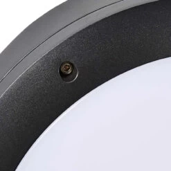 Zink Rosa 20W LED Large Round Bulkhead CCT -Home Lighting Store ZN 39742 BLK 03 41452.1682004841