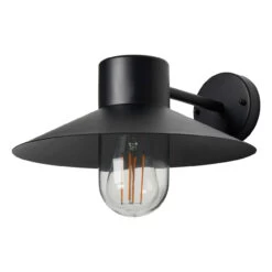 Zink Cesil Outdoor Wall Lantern Black