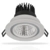 Phoebe LED Downlight 20W Warm White + Daylight Hera Dual 24° White