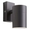 Zink LETO Outdoor Downlight Anthracite Grey