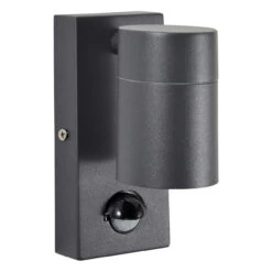 Zink LETO Outdoor Downlight With PIR Anthracite Grey