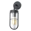 Zink WOKING Outdoor Wall Lantern Black